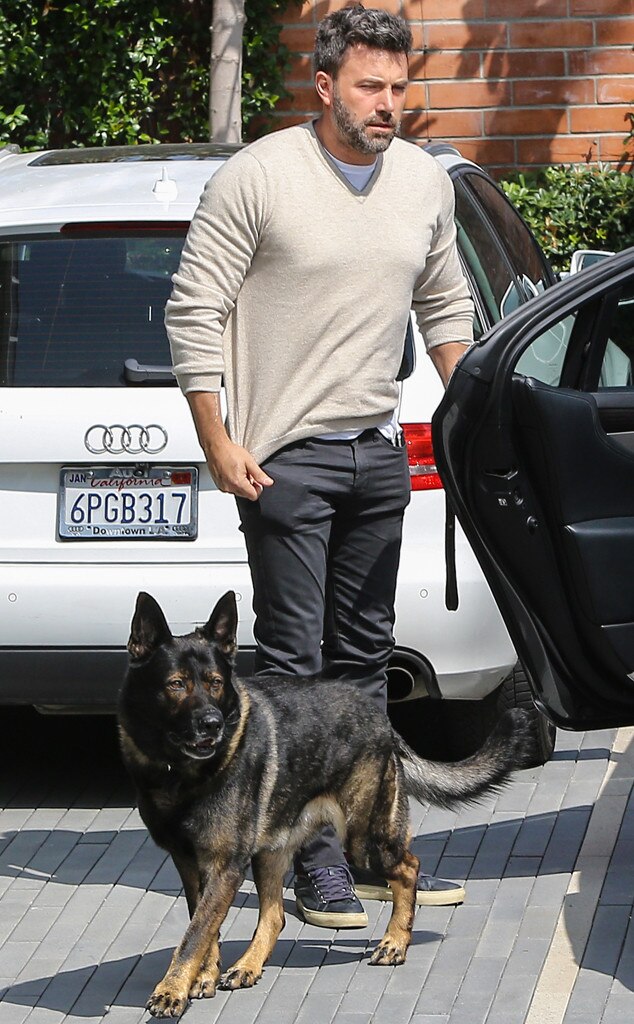 to sic a dog to sic a dog